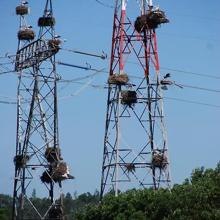 Quinta Da Torre - Casas De Campo Frühstückspension Alenquer