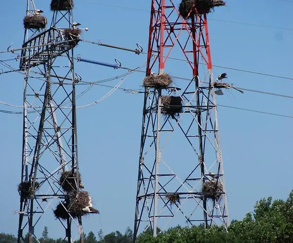 Quinta Da Torre - Casas De Campo Couette-café Alenquer